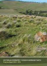 Thumbnail - Victorian Serrated Tussock Working Party progress report.