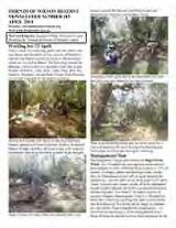 Thumbnail - Newsletter