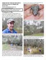 Thumbnail - Newsletter