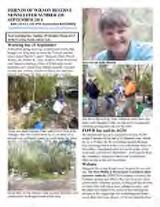 Thumbnail - Newsletter