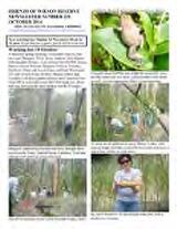 Thumbnail - Newsletter