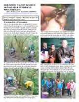 Thumbnail - Newsletter