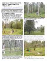 Thumbnail - Newsletter