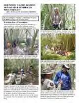 Thumbnail - Newsletter