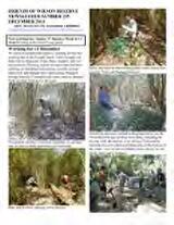 Thumbnail - Newsletter