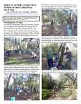 Thumbnail - Newsletter