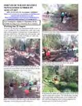 Thumbnail - Newsletter