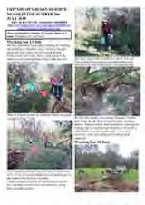 Thumbnail - Newsletter