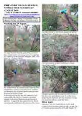 Thumbnail - Newsletter