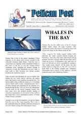 Thumbnail - The pelican post.