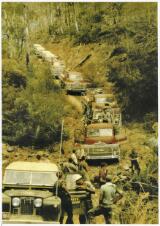 Thumbnail - Forests and Bushfire History of Victoria : A compilation of short stories