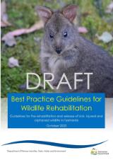 Thumbnail - Best practice guidelines for wildlife rehabilitation - draft : guidelines for the rehabilitation and release of sick, injured and orphaned wildlife in Tasmania