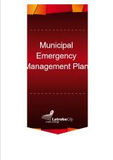 Thumbnail - Municipal emergency management plan