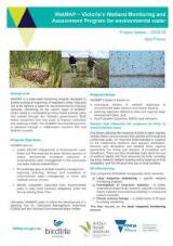 Thumbnail - WetMAP - Victoria's wetland monitoring and assessment program for environmental water : project update - 2019 : bird theme.