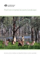 Thumbnail - The environmental accounts landscape.