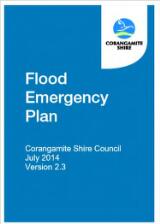 Thumbnail - Flood emergency plan