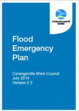 Thumbnail - Flood emergency management plan