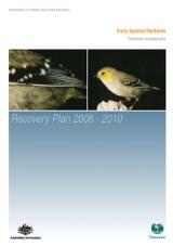 Thumbnail - Forty-spotted pardalote recovery plan 2006-2010