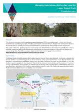 Thumbnail - Managing trade between the Goulburn and the Lower Broken Creek consultation paper.