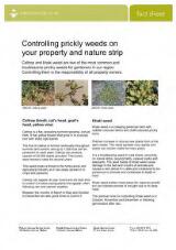 Thumbnail - Controlling Prickly Weeds on your Property and Nature Strip : Fact Sheet.