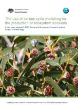 Thumbnail - The use of carbon cycle modelling for the production of ecosystem accounts : a joint study between CSIRO Marine and Atmospheric Research and the Bureau of Meteorology
