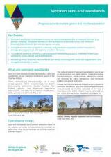 Thumbnail - Victorian semi-arid woodlands progress towards improving semi-arid woodland condition.