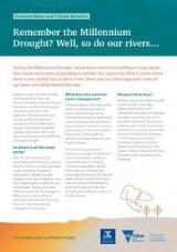 Thumbnail - Remember the millennium drought well, so do our rivers.. : Victorian water and climate initiative.