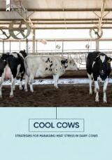 Thumbnail - Cool cows : strategies for managing heat stress in dairy cows.