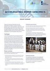 Thumbnail - Accelerating heifer genomics : project summary.