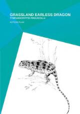 Thumbnail - Grassland earless dragon Tympanocryptis Pinguicolla action plan
