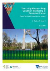 Thumbnail - The living Murray - frog condition monitoring in Gunbower forest : report for the 2019/2020 survey season