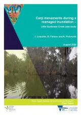 Thumbnail - Carp movements during a managed inundation : Little Gunbower Creek case study