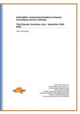 Thumbnail - Quarter summary ...