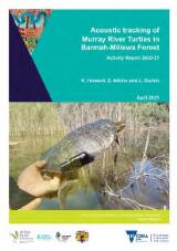 Thumbnail - Acoustic tracking of Murray River turtles in Barmah-Millewa forest : activity report