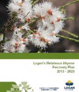 Thumbnail - Logan's Melaleuca Irbyana recovery plan 2013-2023