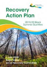 Thumbnail - Recovery action plan