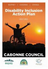 Thumbnail - Disability inclusion action plan