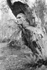 Thumbnail - Forest Faces Mysterious carved wooden faces of Gippsland's forests and roadsides