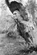 Thumbnail - Forest Faces : Mysterious carved wooden faces of Gippsland's forests and roadsides