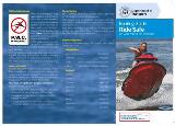 Thumbnail - Boating guide. Ride safe : personal water craft operation.