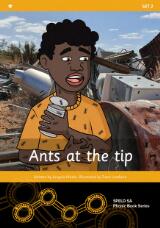 Thumbnail - Ants at the tip