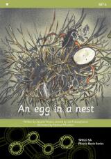 Thumbnail - An egg in a nest