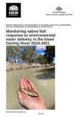 Thumbnail - Monitoring native fish response to environmental water delivery in the Lower Darling River 2020/2021