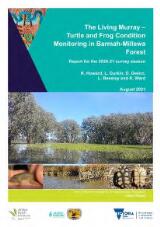 Thumbnail - The living Murray - turtle and frog condition monitoring in Barmah-Millewa forest : report for the 2020-21 survey season