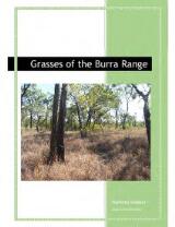 Thumbnail - Grasses of the Burra Range