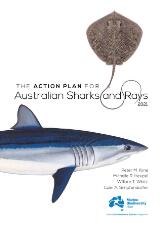 Thumbnail - The action plan for Australian sharks and rays 2021