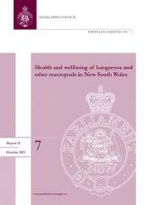 Thumbnail - Health and wellbeing of kangaroos and other macropods in New South Wales