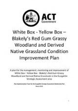 Thumbnail - White Box - Yellow Box - Blakely's Red Gum grassy woodland and derived native grassland condition improvement plan : A plan for the management, monitoring and improvement of White Box - Yellow Box - Blakely's Red Gum Grassy Woodland and Derived Native Grasslands in the Gungahlin Strategic Assessment area.