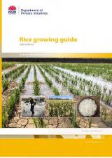 Thumbnail - Rice growing guide