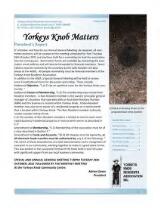 Thumbnail - Yorkeys Knob Matters